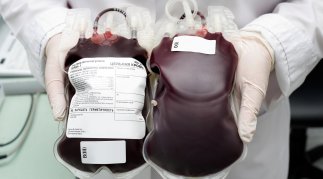 Запас донорской крови в Нягани