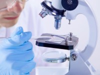 Описание: Изображение с сайта sciencedaily.com